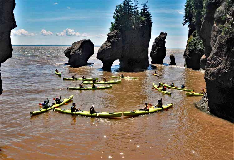 hopewell rocks